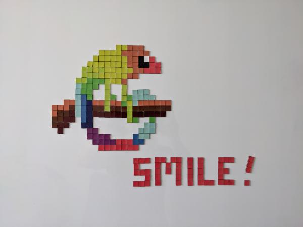 Pixel smile